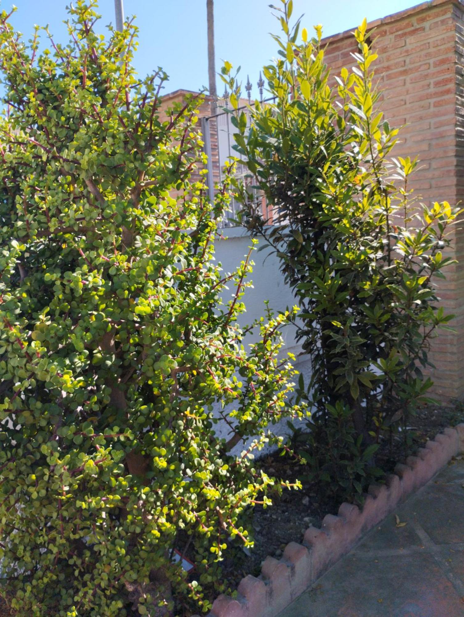 Jade Holiday home